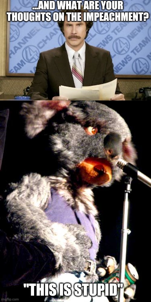 Politics and stuff | ...AND WHAT ARE YOUR THOUGHTS ON THE IMPEACHMENT? "THIS IS STUPID" | image tagged in memes,ron burgundy | made w/ Imgflip meme maker