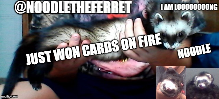 noodle's template | @NOODLETHEFERRET; JUST WON CARDS ON FIRE | image tagged in noodle's template | made w/ Imgflip meme maker