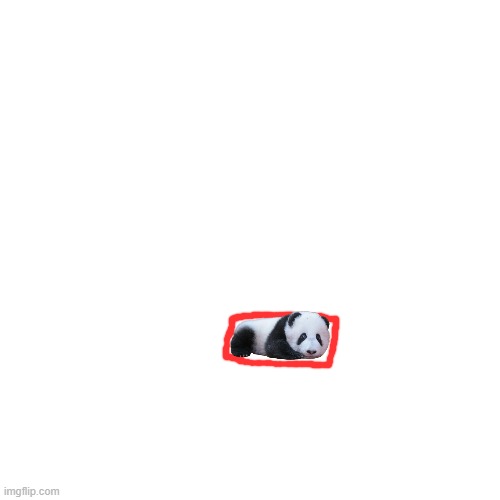 Little cute panda sleeps on pet bed | image tagged in memes,blank transparent square | made w/ Imgflip meme maker
