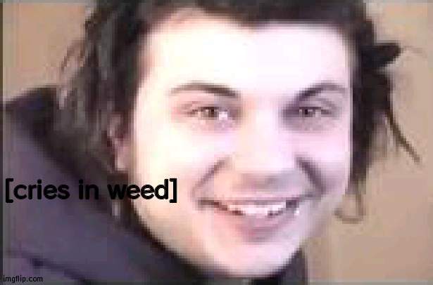 [cries in weed] | made w/ Imgflip meme maker