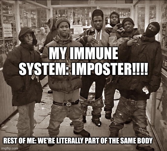 Autoimmune diseases be like | MY IMMUNE SYSTEM: IMPOSTER!!!! REST OF ME: WE'RE LITERALLY PART OF THE SAME BODY | image tagged in all my homies hate,sick,disease,the human body | made w/ Imgflip meme maker