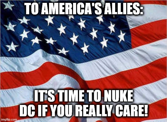 Now's the Time | TO AMERICA'S ALLIES:; IT'S TIME TO NUKE DC IF YOU REALLY CARE! | image tagged in usa flag,nuke,america,please | made w/ Imgflip meme maker