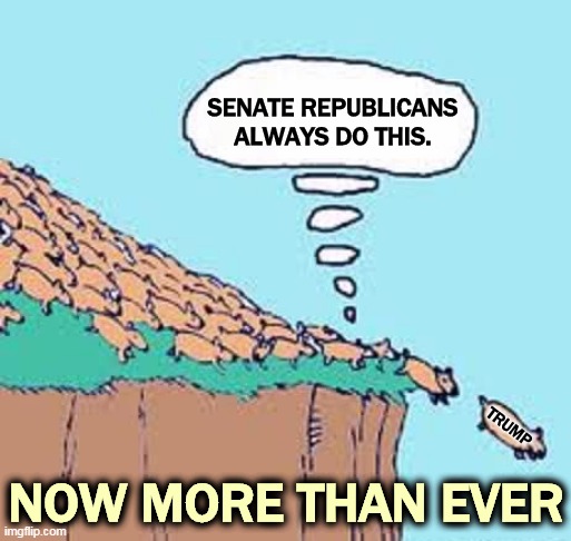 The Real Sheeple | SENATE REPUBLICANS ALWAYS DO THIS. NOW MORE THAN EVER; TRUMP | image tagged in trump,senate,republicans,sheeple | made w/ Imgflip meme maker