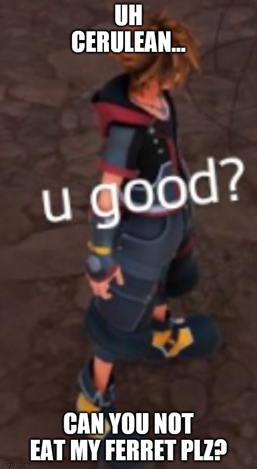sora u good? | UH CERULEAN... CAN YOU NOT EAT MY FERRET PLZ? | image tagged in sora u good | made w/ Imgflip meme maker