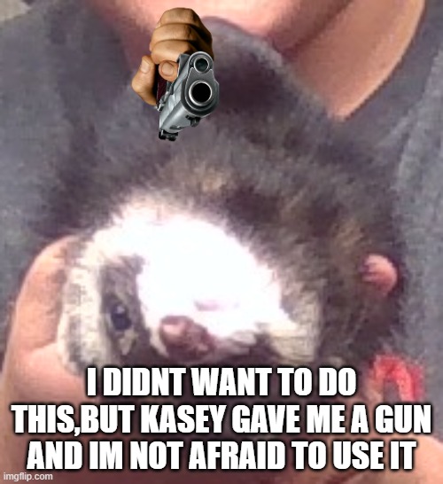 upside down ferret | I DIDNT WANT TO DO THIS,BUT KASEY GAVE ME A GUN AND IM NOT AFRAID TO USE IT | image tagged in upside down ferret | made w/ Imgflip meme maker