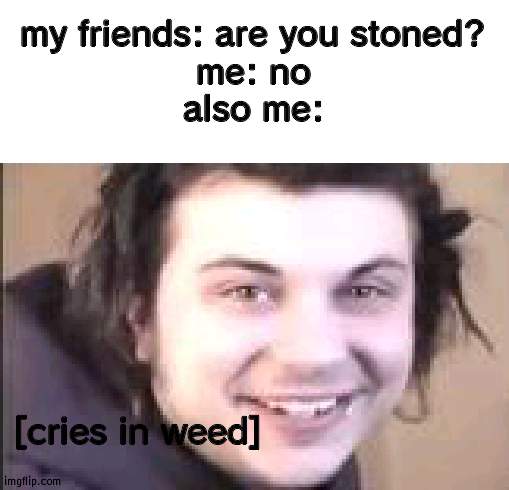 cries in weed | my friends: are you stoned?
me: no
also me:; [cries in weed] | image tagged in cries in weed | made w/ Imgflip meme maker