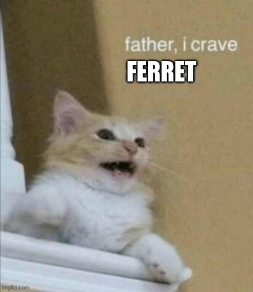 Father, I Crave Violence | FERRET | image tagged in father i crave violence | made w/ Imgflip meme maker