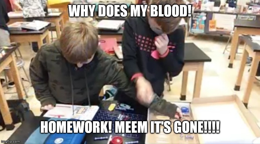 I don't like homework school! | WHY DOES MY BLOOD! HOMEWORK! MEEM IT'S GONE!!!! | image tagged in i don't like homework school | made w/ Imgflip meme maker