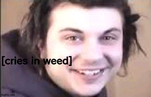 cries in weed | [cries in weed] | image tagged in cries in weed | made w/ Imgflip meme maker