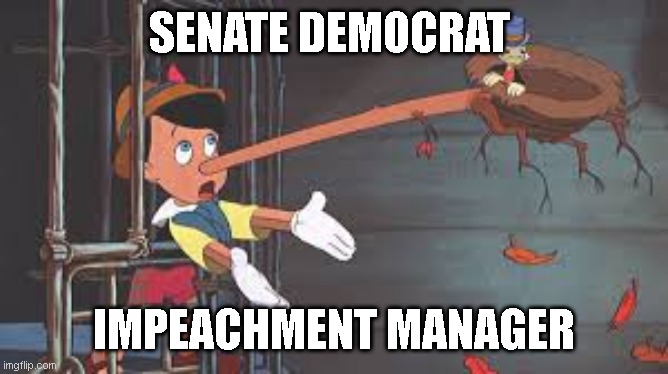 Democrat lies | SENATE DEMOCRAT; IMPEACHMENT MANAGER | image tagged in impeachment | made w/ Imgflip meme maker