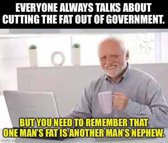 Cut the fat | EVERYONE ALWAYS TALKS ABOUT CUTTING THE FAT OUT OF GOVERNMENT. BUT YOU NEED TO REMEMBER THAT ONE MAN’S FAT IS ANOTHER MAN’S NEPHEW. | image tagged in harold | made w/ Imgflip meme maker