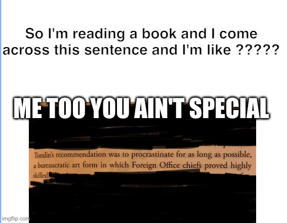 Procrastination | So I'm reading a book and I come across this sentence and I'm like ????? ME TOO YOU AIN'T SPECIAL | image tagged in art,bureaucrat,diplomat,me too you ain't special,women,world | made w/ Imgflip meme maker