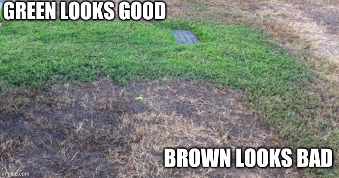 Green looks good, brown looks bad | GREEN LOOKS GOOD; BROWN LOOKS BAD | image tagged in grave,green grass,headstone,final destination | made w/ Imgflip meme maker