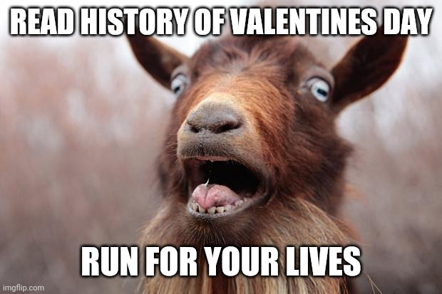 GoatScream2014 | READ HISTORY OF VALENTINES DAY; RUN FOR YOUR LIVES | image tagged in goatscream2014 | made w/ Imgflip meme maker