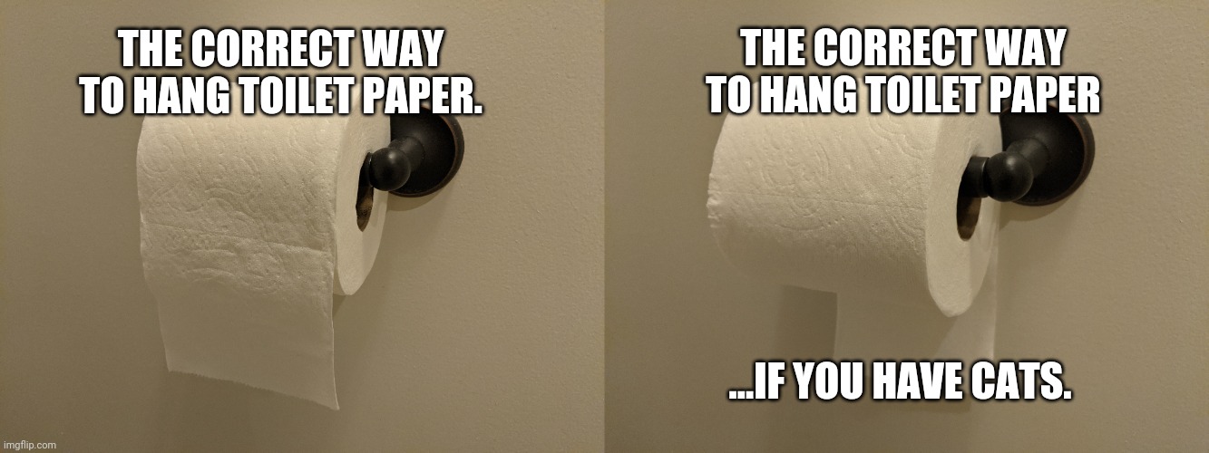 THE CORRECT WAY TO HANG TOILET PAPER; THE CORRECT WAY TO HANG TOILET PAPER. ...IF YOU HAVE CATS. | image tagged in memes | made w/ Imgflip meme maker