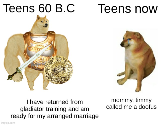 60 B.C was the best generation of the Doges | Teens 60 B.C; Teens now; I have returned from gladiator training and am ready for my arranged marriage; mommy, timmy called me a doofus | image tagged in memes,buff doge vs cheems | made w/ Imgflip meme maker