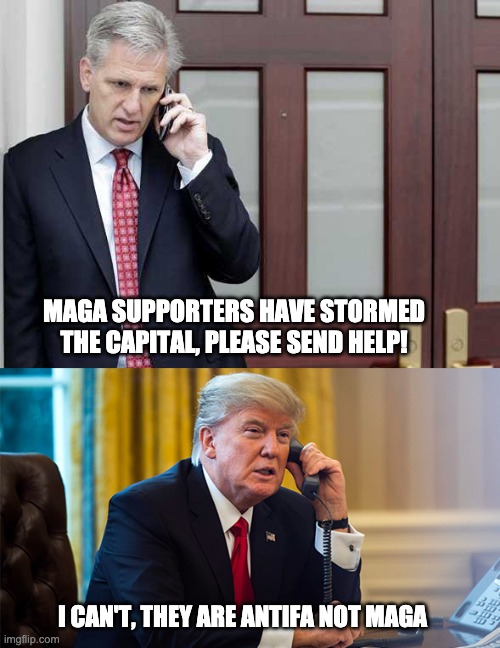 Presidental | MAGA SUPPORTERS HAVE STORMED THE CAPITAL, PLEASE SEND HELP! I CAN'T, THEY ARE ANTIFA NOT MAGA | image tagged in trump logic | made w/ Imgflip meme maker