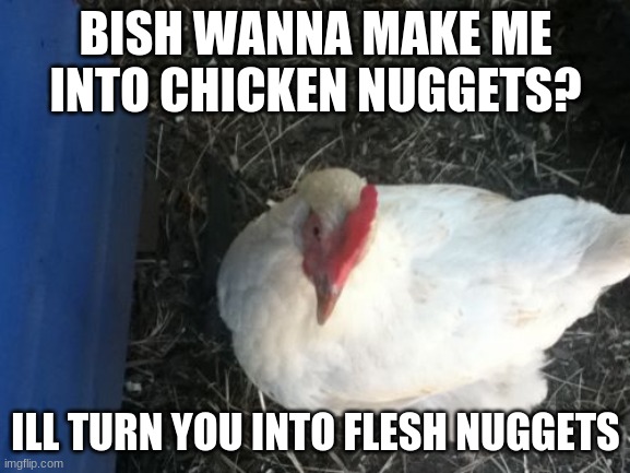 Angry Chicken Boss | BISH WANNA MAKE ME INTO CHICKEN NUGGETS? ILL TURN YOU INTO FLESH NUGGETS | image tagged in memes,angry chicken boss | made w/ Imgflip meme maker