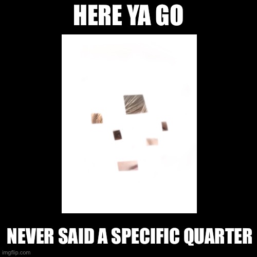 Quarter Face Reveal | HERE YA GO; NEVER SAID A SPECIFIC QUARTER | image tagged in memes | made w/ Imgflip meme maker