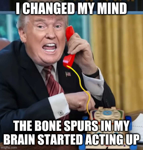 I'm the president | I CHANGED MY MIND; THE BONE SPURS IN MY BRAIN STARTED ACTING UP | image tagged in i'm the president | made w/ Imgflip meme maker