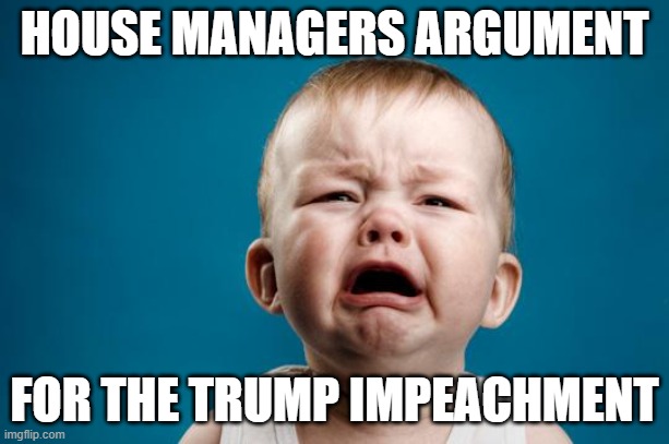 House Managers For Trump Impeachment | HOUSE MANAGERS ARGUMENT; FOR THE TRUMP IMPEACHMENT | image tagged in baby crying | made w/ Imgflip meme maker