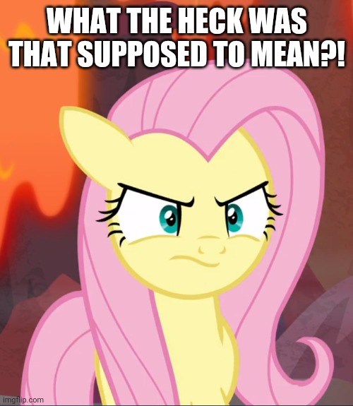 WHAT THE HECK WAS THAT SUPPOSED TO MEAN?! | made w/ Imgflip meme maker