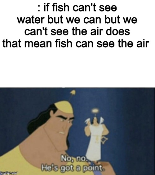 no no hes got a point | : if fish can't see water but we can but we can't see the air does that mean fish can see the air | image tagged in no no hes got a point | made w/ Imgflip meme maker