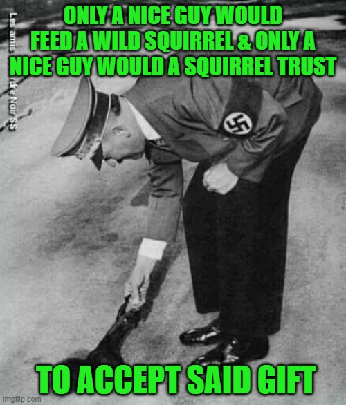 ONLY A NICE GUY WOULD FEED A WILD SQUIRREL & ONLY A NICE GUY WOULD A SQUIRREL TRUST; TO ACCEPT SAID GIFT | made w/ Imgflip meme maker