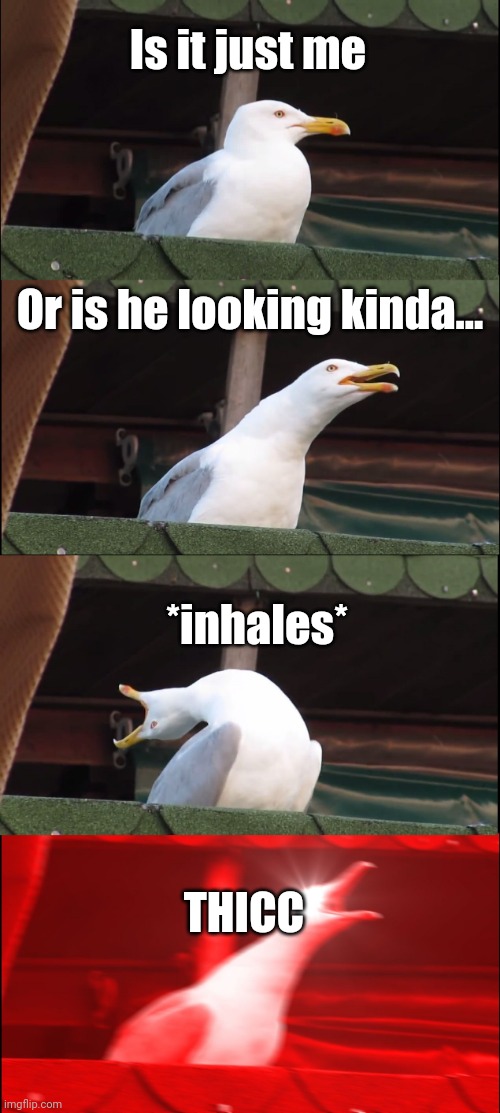 Inhaling Seagull Meme | Is it just me; Or is he looking kinda... *inhales*; THICC | image tagged in memes,inhaling seagull | made w/ Imgflip meme maker