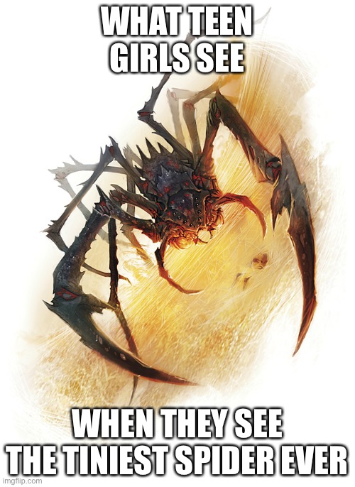And They Scream Like They Are Being Brutally Murdered By Demons | WHAT TEEN GIRLS SEE; WHEN THEY SEE THE TINIEST SPIDER EVER | image tagged in girls,spiders,screaming | made w/ Imgflip meme maker