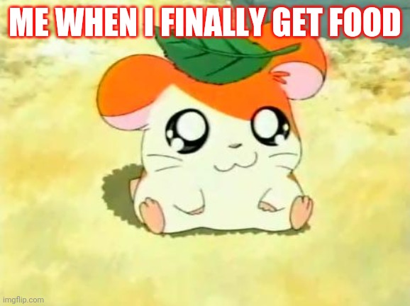 Hamtaro | ME WHEN I FINALLY GET FOOD | image tagged in memes,hamtaro | made w/ Imgflip meme maker