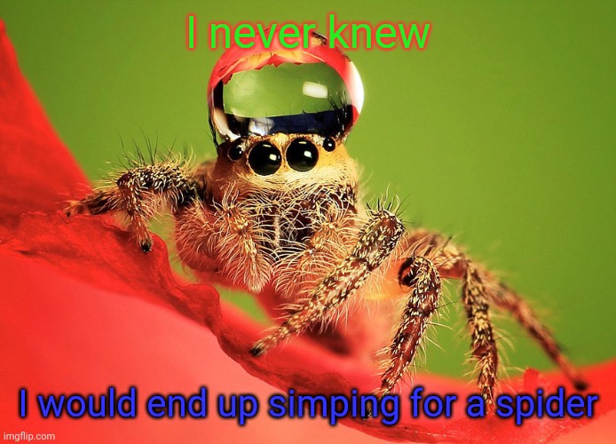 I never knew; I would end up simping for a spider | made w/ Imgflip meme maker