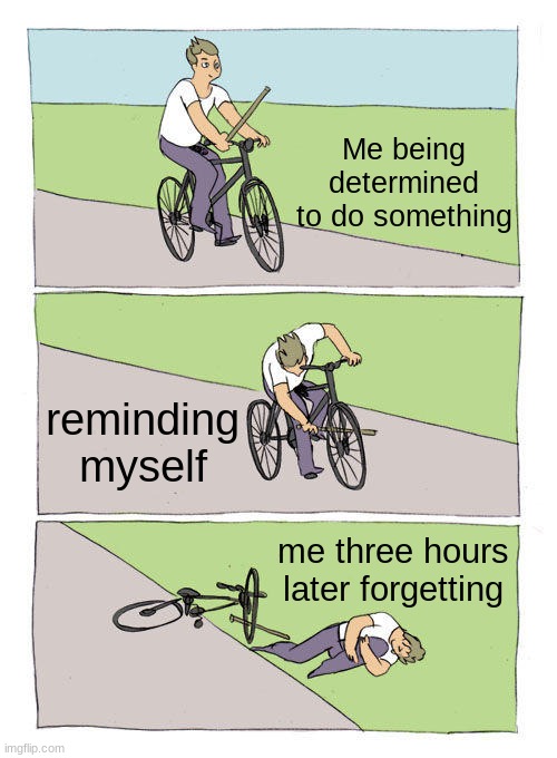 Bike Fall | Me being determined to do something; reminding myself; me three hours later forgetting | image tagged in memes,bike fall | made w/ Imgflip meme maker