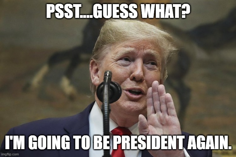 Teflon Don wins again! |  PSST....GUESS WHAT? I'M GOING TO BE PRESIDENT AGAIN. | image tagged in donald trump,trump impeachment,acquittal,memes | made w/ Imgflip meme maker