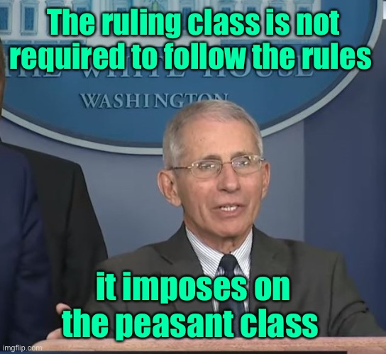 Dr Fauci | The ruling class is not required to follow the rules it imposes on the peasant class | image tagged in dr fauci | made w/ Imgflip meme maker