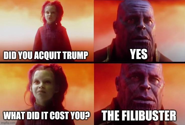 Votes have consequences | DID YOU ACQUIT TRUMP; YES; WHAT DID IT COST YOU? THE FILIBUSTER | image tagged in thanos what did it cost,trump,trump impeachment,impeachment | made w/ Imgflip meme maker