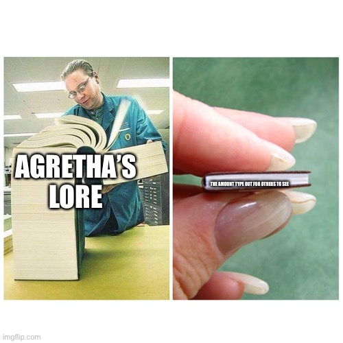 Big book vs Little Book | AGRETHA’S LORE; THE AMOUNT TYPE OUT FOR OTHERS TO SEE | image tagged in big book vs little book | made w/ Imgflip meme maker