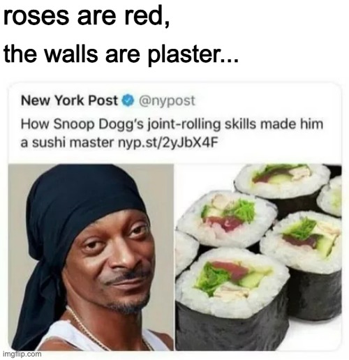 snoop dogg why | roses are red, the walls are plaster... | image tagged in roses are red,snoop dogg,sushi | made w/ Imgflip meme maker