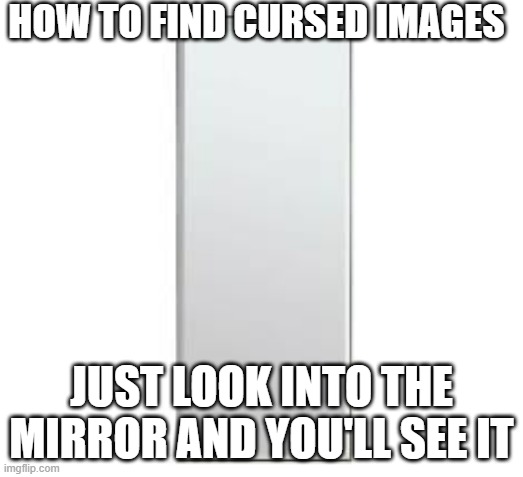 Ha Goteem | HOW TO FIND CURSED IMAGES; JUST LOOK INTO THE MIRROR AND YOU'LL SEE IT | image tagged in roast | made w/ Imgflip meme maker