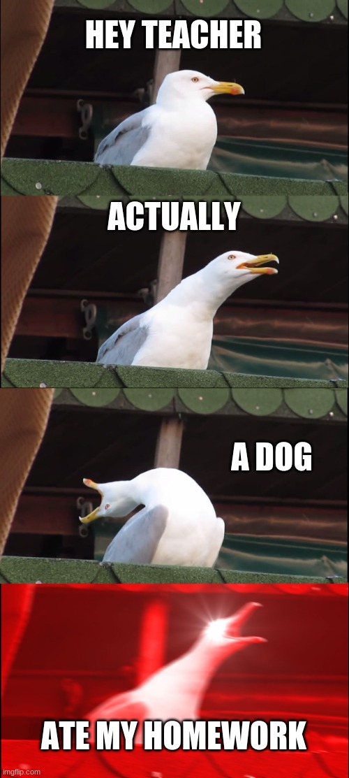 j | HEY TEACHER; ACTUALLY; A DOG; ATE MY HOMEWORK | image tagged in memes,inhaling seagull | made w/ Imgflip meme maker