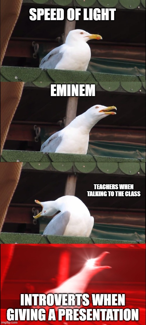 Inhaling Seagull | SPEED OF LIGHT; EMINEM; TEACHERS WHEN TALKING TO THE CLASS; INTROVERTS WHEN GIVING A PRESENTATION | image tagged in memes,inhaling seagull | made w/ Imgflip meme maker