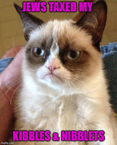 Grumpy Cat Meme | JEWS TAXED MY; KIBBLES & NIBBLETS | image tagged in memes,grumpy cat | made w/ Imgflip meme maker