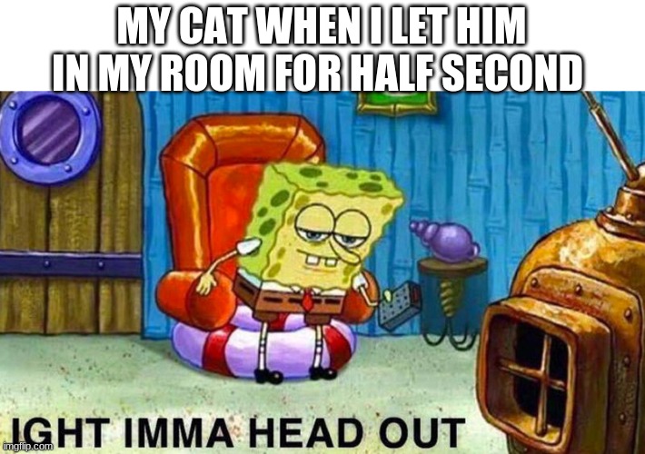 Aight ima head out | MY CAT WHEN I LET HIM IN MY ROOM FOR HALF SECOND | image tagged in aight ima head out | made w/ Imgflip meme maker