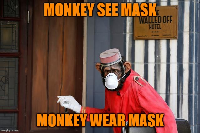 MONKEY SEE MASK; MONKEY WEAR MASK | made w/ Imgflip meme maker