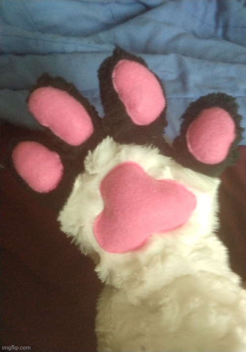 Just finished making a paw | made w/ Imgflip meme maker