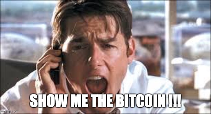 Show me the money | SHOW ME THE BITCOIN !!! | image tagged in show me the money | made w/ Imgflip meme maker