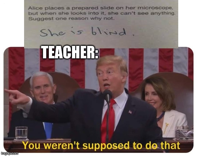 smartypants | TEACHER: | image tagged in trump you weren't supposed to do that,funny memes,memes,change my mind,funny,bad luck brian | made w/ Imgflip meme maker