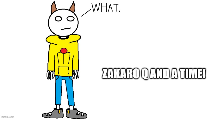 Zakaro "What." | ZAKARO Q AND A TIME! | image tagged in zakaro what | made w/ Imgflip meme maker