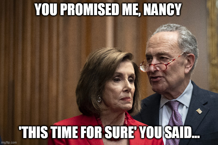 Aw butcha promised! | YOU PROMISED ME, NANCY; 'THIS TIME FOR SURE' YOU SAID... | image tagged in memes,funny,politics | made w/ Imgflip meme maker