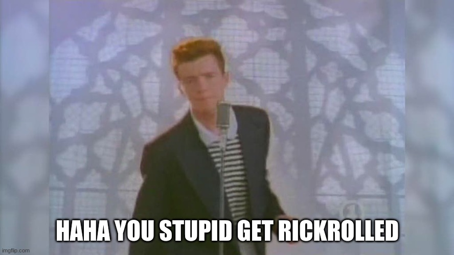 Rick Roll | HAHA YOU STUPID GET RICKROLLED | image tagged in rick roll | made w/ Imgflip meme maker